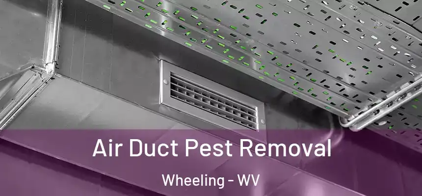 Air Duct Pest Removal Wheeling - WV