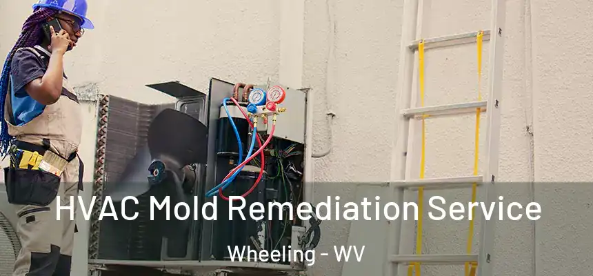 HVAC Mold Remediation Service Wheeling - WV