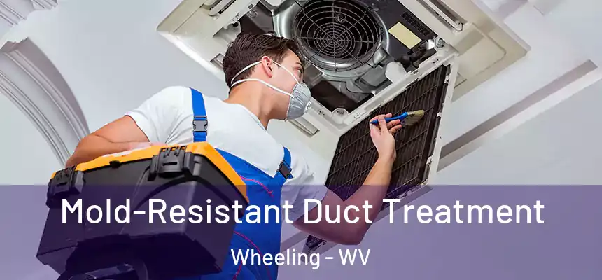 Mold-Resistant Duct Treatment Wheeling - WV