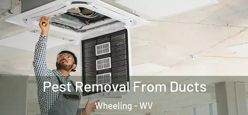 Pest Removal From Ducts Wheeling - WV