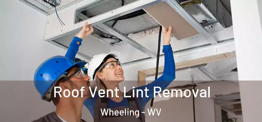Roof Vent Lint Removal Wheeling - WV