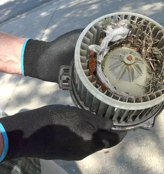 About Air Duct Mice Removal in Wheeling, WV