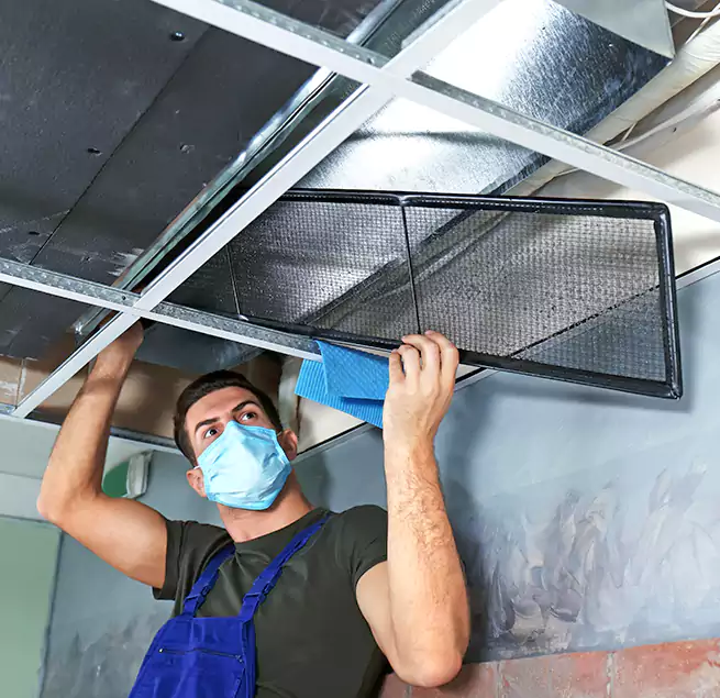 Why Homeowners Businesses Trust Us in Wheeling, WV